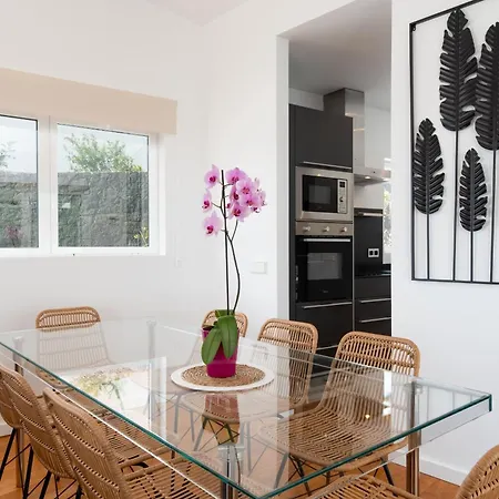Villa Ereza Royal Family Hoopoe-1 *
